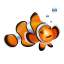 clownfish